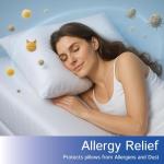 Set of 2 Zippered Pillow Protectors - Waterproof & Hypoallergenic