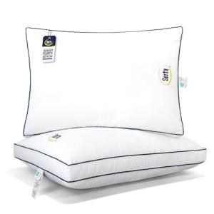 Queen Pack of 2 Medium Firm Hotel Pillows