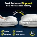 Queen Pack of 2 Medium Firm Hotel Pillows