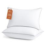 Queen Size Down Alternative Pillows Set of 2