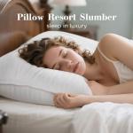 Viewstar Queen Size Down Alternative Bed Pillows