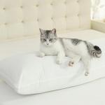 Cooling Cotton Full Body Pillow Insert for Adults