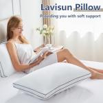CozyLux Queen Size Soft Down Alternative Pillows