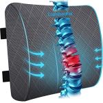 Lumbar Support Pillow for Office and Car