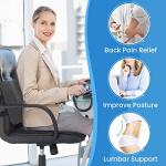 Lumbar Support Pillow for Office and Car