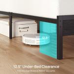 Rolanstar Queen Bed Frame with LED Lights