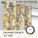 Vintage Hummingbird Blackout Curtains, 84 Inches, 2 Panels