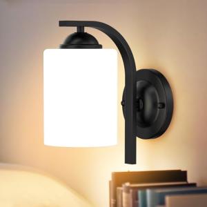 Matte Black Wall Sconce Light for Any Room