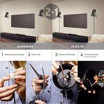 Dimmable Matte Black Wall Sconce with Walnut Accent