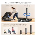 Tami Tami T600 Adjustable Bed Frame Twin XL Size with Remote & Massage - Syncable Electric Beds Bases, Zero Gravity, USB, Side Pocket, Nightlight, Quiet Motor, 5 Min Easy Assembly