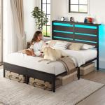 Rolanstar Queen Bed Frame with LED Lights