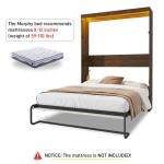 Hlivelood Queen Size Murphy Bed with 2 LED Lights, Farmhouse Wood Hidden Foldable Wall Bed Frame w/Gas Struts, Storage Bed Cabinet for Bedroom, Office, Space-Saving, No Box Spring Needed, Rustic White