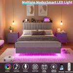 Full Floating Bed Frame with LED Lights & USB