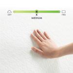 Twin 6-Inch Green Tea Memory Foam Mattress