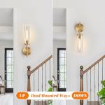Brushed Gold Wall Sconces with Clear Glass - Set of 2