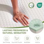 EGOHOME 8-Inch Full Size Memory Foam Mattress