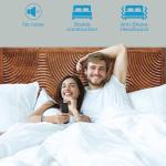 Queen Platform Bed Frame in Walnut Finish