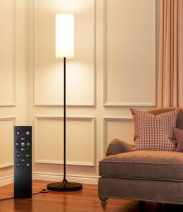 Dimmable Floor Lamp with Remote and Foot Switch