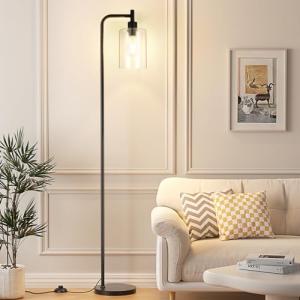 Ziisee Black Industrial Floor Lamp with Glass Shade
