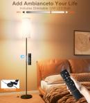 Dimmable Floor Lamp with Remote and Foot Switch