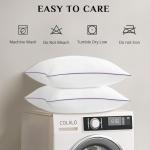 Queen Size Pillows Set of 4 - Soft & Supportive