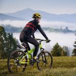 Brightpeak 26" Folding Mountain Bike - 21-Speed Gears, Full Suspension, Dual Disc Brakes, High-Carbon Steel Frame, Quick-Release Foldable Design for Adults & Teens (Green)