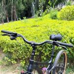 BUCKLOS Mountain Bike MTB Handlebars 25.4/31.8mm - 20/30/50/90/100/120/160mm Rise Aluminum Alloy Handlebar - 720/780mm Extra Long Bicycle Riser HandleBars for EBike Folding Bike Downhill Racing