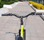 UPANBIKE Mountain Bike Handlebar 31.8mm, Aluminum Alloy MTB Bicycle Riser Handlebar Extra Long 700mm with Paint Matte Surface (Black, 700mm)