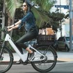 YEEGO DIRECT Bike Basket Rear,Foldable Bike Cargo Basket, Plastic Collapsible Basket for Bicycle, Rear Bike Baskets Storage Bike Milk Crate Rear Rack,Waterproof Cover for Outings,Pets E-Bike