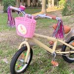 Noviko Girl Bike Basket Kid Bicycle Basket Bike Accessories for Girls