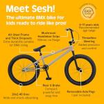 Retrospec Sesh BMX Bike for Kids - 20in Freestyle Bicycle with Pro-Level Features, Removable Axle Pegs & U-Brake - Durable Steel Frame Youth Bike with Shock-Absorbing Tires for Ages 6-13