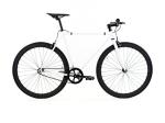 Golden Cycles Fixed Gear Single Speed Bike - Perfect Urban Commuter Bicycle with Front and Rear Brakes - Ideal for Teens and Adults - The Bike Comes in Different Sizes (48cm, Shocker)