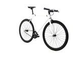 Golden Cycles Fixed Gear Single Speed Bike - Perfect Urban Commuter Bicycle with Front and Rear Brakes - Ideal for Teens and Adults - The Bike Comes in Different Sizes (48cm, Shocker)