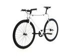 Golden Cycles Fixed Gear Single Speed Bike - Perfect Urban Commuter Bicycle with Front and Rear Brakes - Ideal for Teens and Adults - The Bike Comes in Different Sizes (48cm, Shocker)