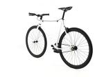 Golden Cycles Fixed Gear Single Speed Bike - Perfect Urban Commuter Bicycle with Front and Rear Brakes - Ideal for Teens and Adults - The Bike Comes in Different Sizes (48cm, Shocker)