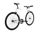 Golden Cycles Fixed Gear Single Speed Bike - Perfect Urban Commuter Bicycle with Front and Rear Brakes - Ideal for Teens and Adults - The Bike Comes in Different Sizes (48cm, Shocker)