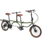 GRELiving Folding Tandem Bike for Adults,20" Folding Bike Dual Drive Tandem Bicycle,Foldable with Rolling Stand for Easy Transport (Green)