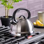 Mr. Coffee Flintshire 1.75-Quart Stainless Steel Whistling Tea Kettle – Brushed Satin Finish Stove-Top Kettle for Boiling Water