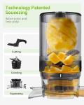 TUUMIIST Cold Press Juicer with Extra Large Feed