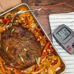 Taylor Programmable with Timer Instant Read Wired Probe Digital, Meat, Food, Grill BBQ Cooking Kitchen Thermometer with Timer, Gray