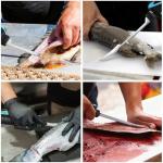 DURATECH 12V Cordless Electric Fillet Knife with 8" & 10" Razor-Sharp Blades, Electric Fish Fillet Knife with 2.0Ah Built-in Battery, Type-C Charge, Non-Slip Handle, Storage Case for Fishing Filleting