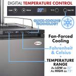 Kegco HBK309S-2 Home Brew Keg Dispenser, Stainless Steel, 2 Tap