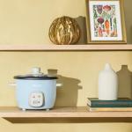 Aroma Housewares 4-Cups (Cooked) / 1Qt. Rice & Grain Cooker (ARC-302NGBL), Blue
