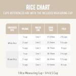 GreenLife Rice Cooker with Removable PFAS-Free Ceramic Nonstick Pot, 3-Cups Uncooked/6-Cups Cooked, Grains & Oatmeal Multicooker, Compact One-Switch Design, Auto Keep Warm, Easy Clean, Cream