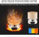 2-Tier Electric Food Steamer, 1500W with 60 Min Timer, Auto Shut-Off, Boil Dry Protection for Healthy Cooking, Vegetable Prep & Meal Prep - Perfect for Quick, Nutritious Meals