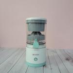 High-Power Electric Juice Extractor with Stainless Steel Filter