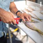 BUBBA Cordless Electric Fillet Knife with Grip Handle