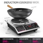 Leconchef 1800W Induction Cooker with Carbon Steel Wok