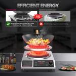 Leconchef 1800W Induction Cooker with Carbon Steel Wok