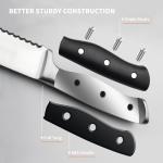 Alata 6-Piece Razor-Sharp Steak Knives Set